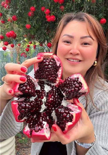 Rain makes the pomegranate thrive. Every drop sinks deep, helping the fruit grow fuller, richer, and more vibrant with time.