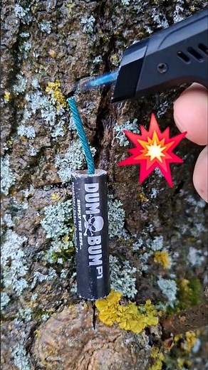 🤯DumBum P1🔥 #viral #pyro #fireworks #pyrotechnica #feuerwerk #trending #fyp #diwali #2026 #adiaava