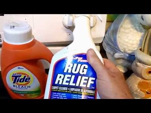HOW TO KILL BOX ELDER BUGS FAST