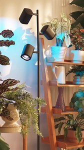 😍Discover Govee Tree Floor Lamp, featuring flexible triple-lamp control for customized on/off, brightness, and color effects. 🏡With lamp arms that rotate 350° horizontally and 90° vertically, plus adjustable lamp heads, you can achieve precise lighting.✨ | GOVEE