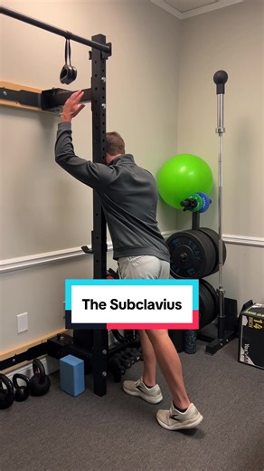 Small muscle. BIG problem for throwers. 👀 A tight subclavius can limit clavicle motion, alter scapular mechanics, and contribute to early arm fatigue or nerve-type symptoms. If your shoulder feels restricted overhead or your arm tires faster than expected, this is often part of the issue. Small muscle. Meaningful impact. Save this for later or share with a pitcher who needs it.