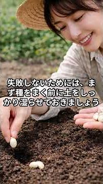 水やり厳禁が成功の鍵モロッコインゲンの育て方と失敗しない種まきの極意 #ベランダ菜園