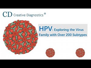 Understanding HPV The Virus Family with 200+ Subtypes - Creative Diagnostics