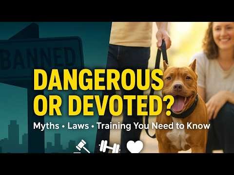 The American Pit Bull Terrier (Pit Bull) — Dangerous or Devoted? Myths, Laws & Must‑Know Facts