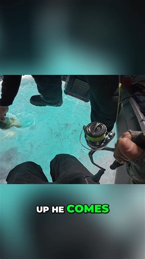 Lake Superior delivered #laketrout #lakesuperior #icefishing #TroutFishing | Tom Boley Fishing
