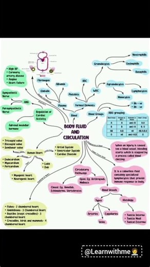 Part 2 | Body fluids and circulation 🫀| shorts notes #learnwithme #neet