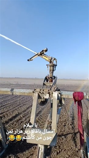 Irrigating the planted field using a sprinkler and water gun