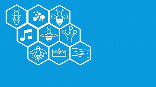 05_无梯度优化算法（下）模拟退火、Nelder-Mead