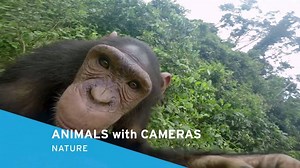 See what’s new for March in MPT Passport! A new member benefit, MPT...