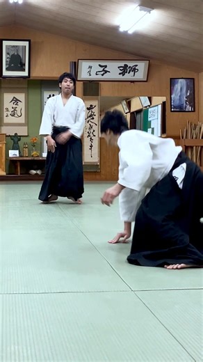 Mastering Ryote Dori Jiyu Waza in Aikido