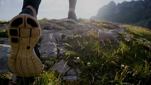 24 reactions · 4 comments | Registration for the Certificate in Catholic Theology is now open! Come learn more about your Catholic faith, one Saturday a month, beginning in November. Classes will be virtual, at least to start. Visit www.tinecatholic.com. #bostoncatholic #newevangelization | Archdiocese of Boston | Facebook