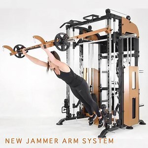 [Hot Item] Ts114 Arm System Smith Functional Trainer Multifunctional Smith Machine