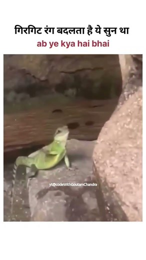 Kya tha ye 🤣 #memes