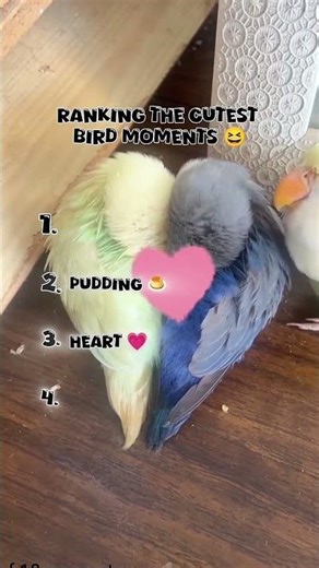 Which Bird Do U think is the Cutest