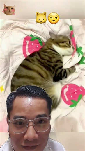 Why are you doing something so unsightly?🐱😒