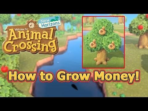 How To Grow A Money Tree! - Animal Crossing: New Horizons Tips and Tricks
