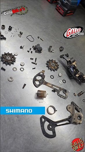 Complete Maintenance Disassembly Rear Derailleur Shimano Deore XT RD-M8100 12s Service Repair