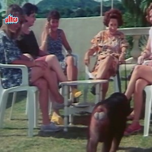 Kundan ( कुन्दन ) Hindi Full Movie - Dharmendra - Jaya Prada - Amrish Puri - 90s Hindi Action Movies #Bollywood #BollywoodMovies #Movie #Films #Drama #Viral #Dharmendra #AmrishPuri | Ultra Filmy Duniya