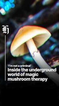 The underground world of magic mushroom therapy