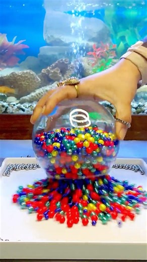 🐬🌈 Fish Mesmerizing Beads ASMR Video. #shorts #asmr #fish