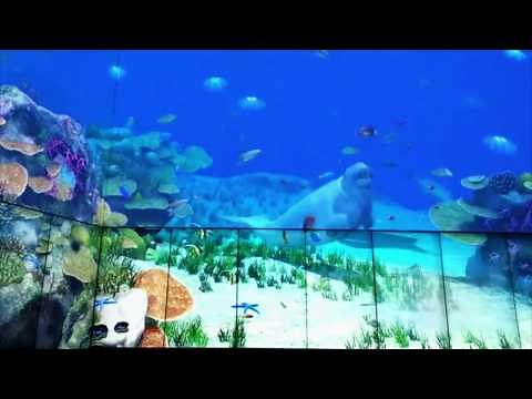 The Cube at QUT - world's biggest multitouch installation