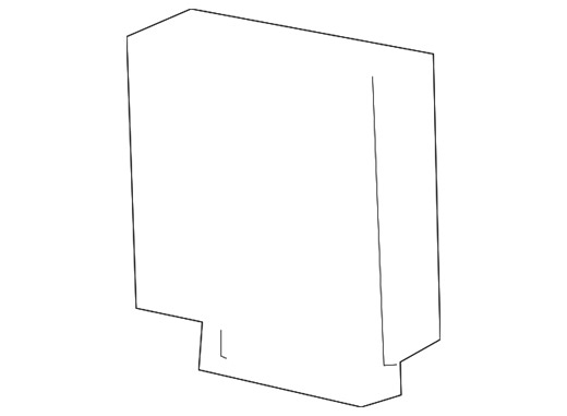 Engine Control Module (ECM)