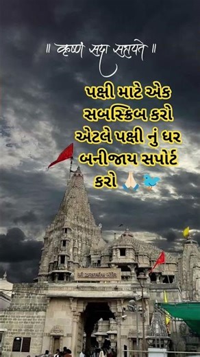 કૃષ્ણ સદા સહાયતે 🙏🏻🐦 #viral#shortsfeed#seva