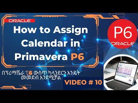 How to Assign Calendar in Primavera P6 | Amharic Tutorial