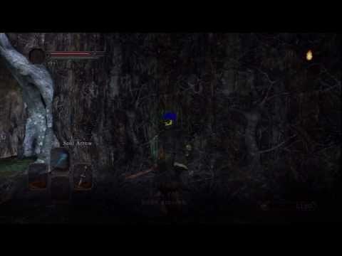 Dark Souls 2 How To Find Snuggly The Crow / Snuggly Crows Location