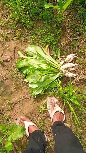 #video #shortvideo #love #song #trending #mma#myfirstvlog #mychannel #myvideo