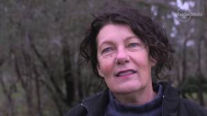 3.9K views · 18 reactions | The Border Mail has introduced subscriptions. We talked to community leaders around the Border to see what they think of the idea. Sign up for your free trial at bordermail.com.au. More here: https://www.bordermail.com.au/news/business/5485736/the-border-mail-introduces-subscriptions-free-30-day-trial/ | The Border Mail | Facebook