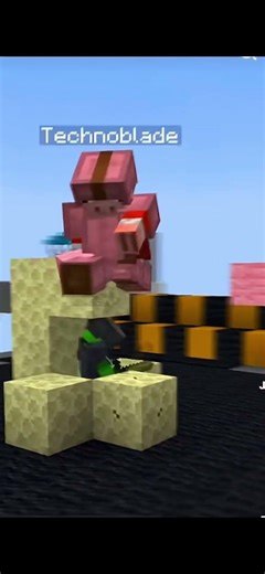 Technoblade the best player in the world RIP🕊️🕊️