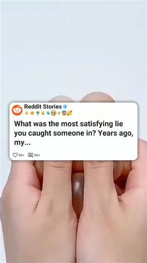 What was the most satisfying lie you caught someone in #reddit