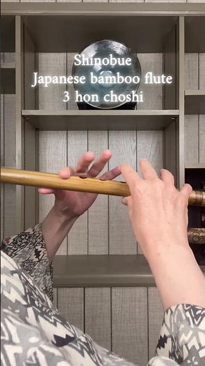 Princess Mononoke – Ashitaka and San | Japanese Bamboo Flute Cover (Shinobue) | Live