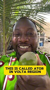 21K views · 187 reactions | I found amazing fruit in Ghana  #ewefood #villagevideos #africanfood | GHANAFUNTUBE | Facebook