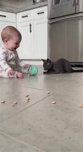 A baby sits on the kitchen floor tossing cereal while a Russian Blue kitten springs to catch each piece. The baby’s laughter fills the room as the kitten’s quick, goofy pounces steal the show. | Margot The Russian Blue Cat