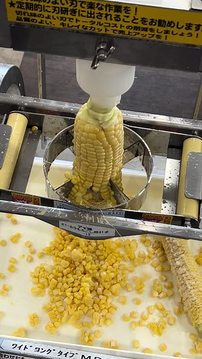 Corn Remover Machine - Satisfying Video by HIRANO WORKS CO., LTD.