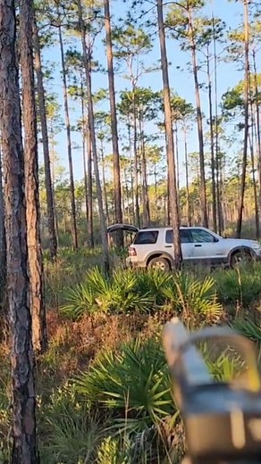 Simple way to check your sight before each hunt. #turkeyhunting #shanesimpsonhunting #springturkey | Shane Simpson