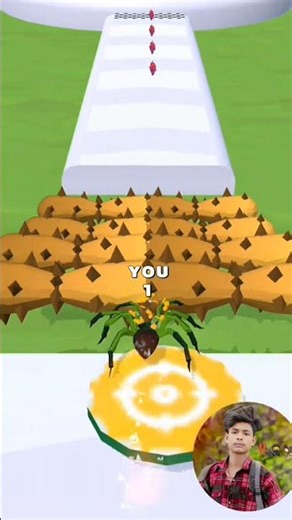 sqiber Evoln 1M🗨️