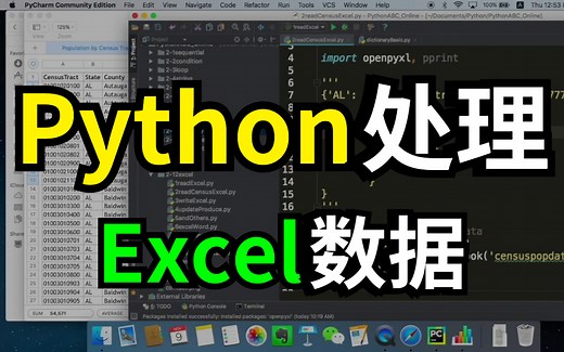 【超详细带案例】人人都能学会！用Python处理Excel数据，高效办公！中文全基础系列教程