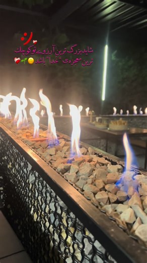 ‎𝑯𝒊𝒍𝒂| هیلـٰا🕊️‎ | ‎نیازی به کپشن نداره !😊 • • • • • • • • • • • #تکست #ویدیو #متن #دلنوشته #ویدیوگرافی #موبایل #موبایل_گرافی #ویدیوکلیپ #video #نوشته...‎ | Instagram