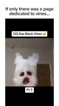 Daz Black Vines😭🔥 #vines #funny #memes #shorts