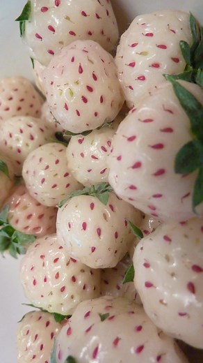 Color-Removing Experiment on Fruits