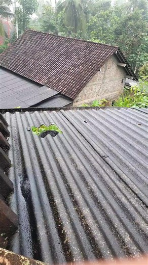 Cara Efektif Mengatasi Asbes dan Seng Bolong