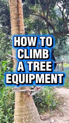 Learn how to climb a tree of any height #climbers #equipment #treeclimbing