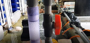 Check out our new protein skimmer that only uses a single water pump to pump both air and water. Our skimmer was not working that great due to artificial feed (oil changes the surface tension of the water), we built a new one to cope with additional load from the artificial feed. This protein skimmer is built with parts from a hardware shop, and it cost less than 100USD. | RAS Aquaculture