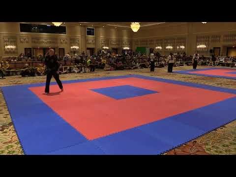 2025 UFAF ITC - Andi Woods Adult Weapon Grand Champion - Tonfa Form