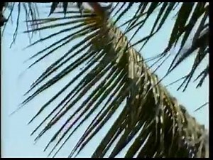 Corazón salvaje 1993 cap 12_1