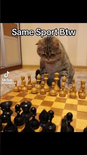 CHESS IS SO HOT