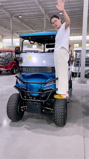 AB Model, passenger and Cargo Dual-purpose || Electric Four-wheeler |Source Works #export